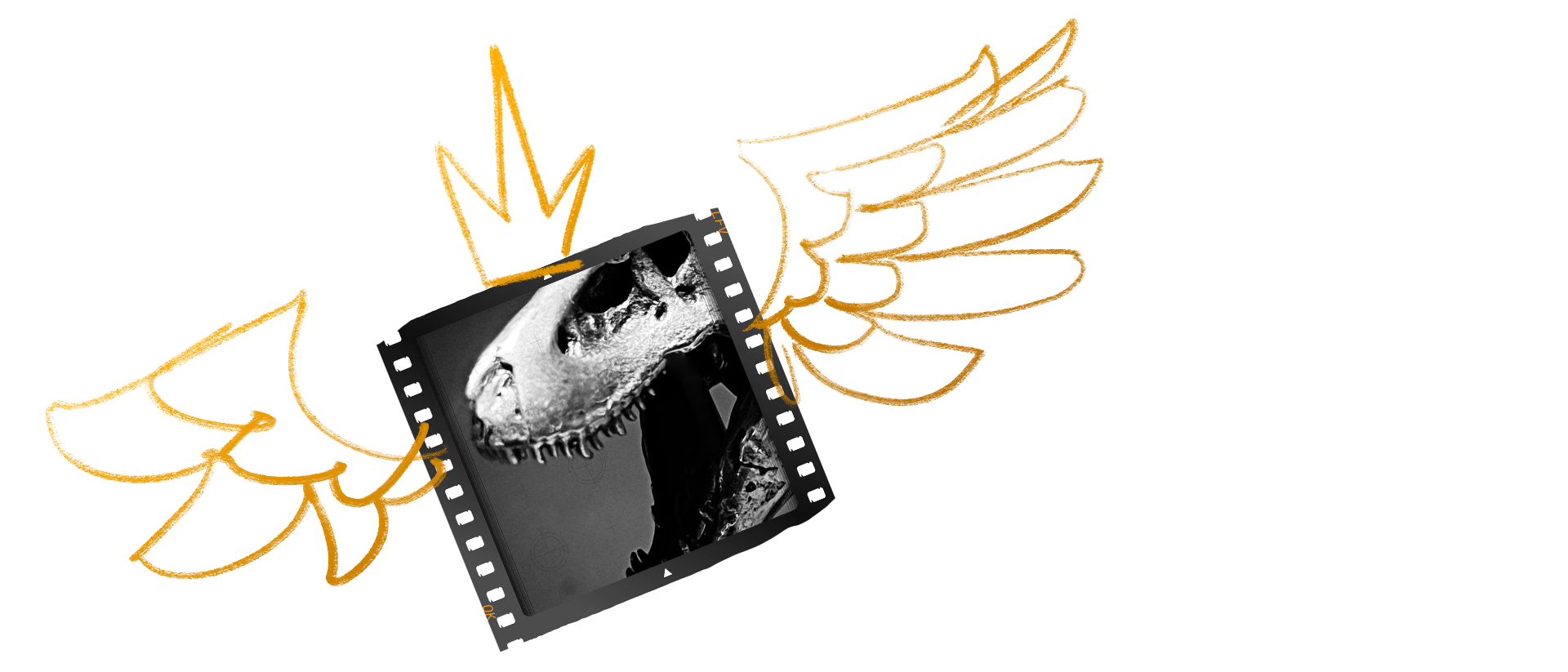 An image of a slice of film depicting a Tyrannosaurus skull.