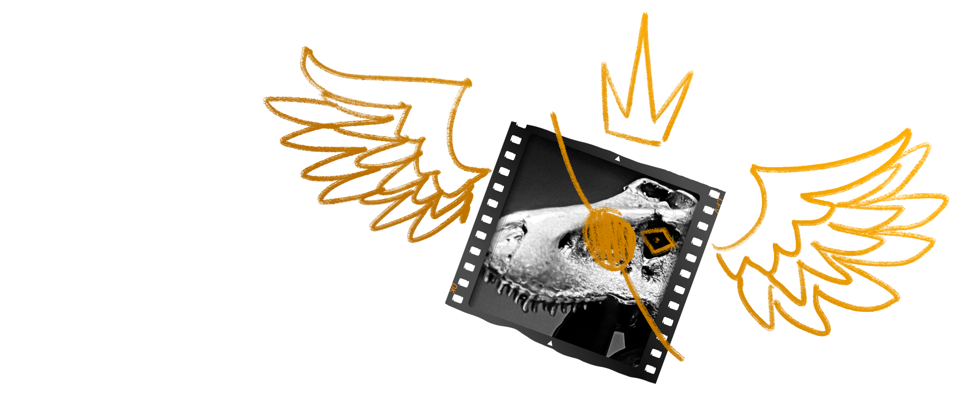 Another image of a slice of film depicting a Tyrannosaurus skull.
